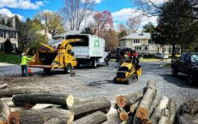 Best Utility Line Clearance  in Lorain, OH